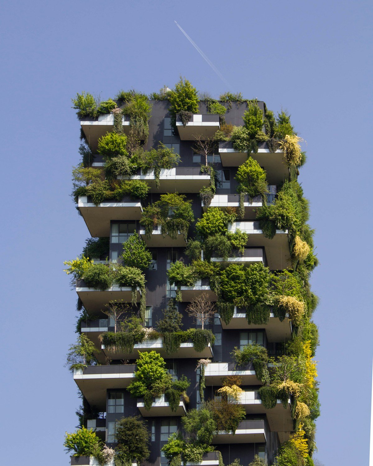Batiment moderne recouvert de vegetation, illustrant l'alliance entre architecture et ecologie