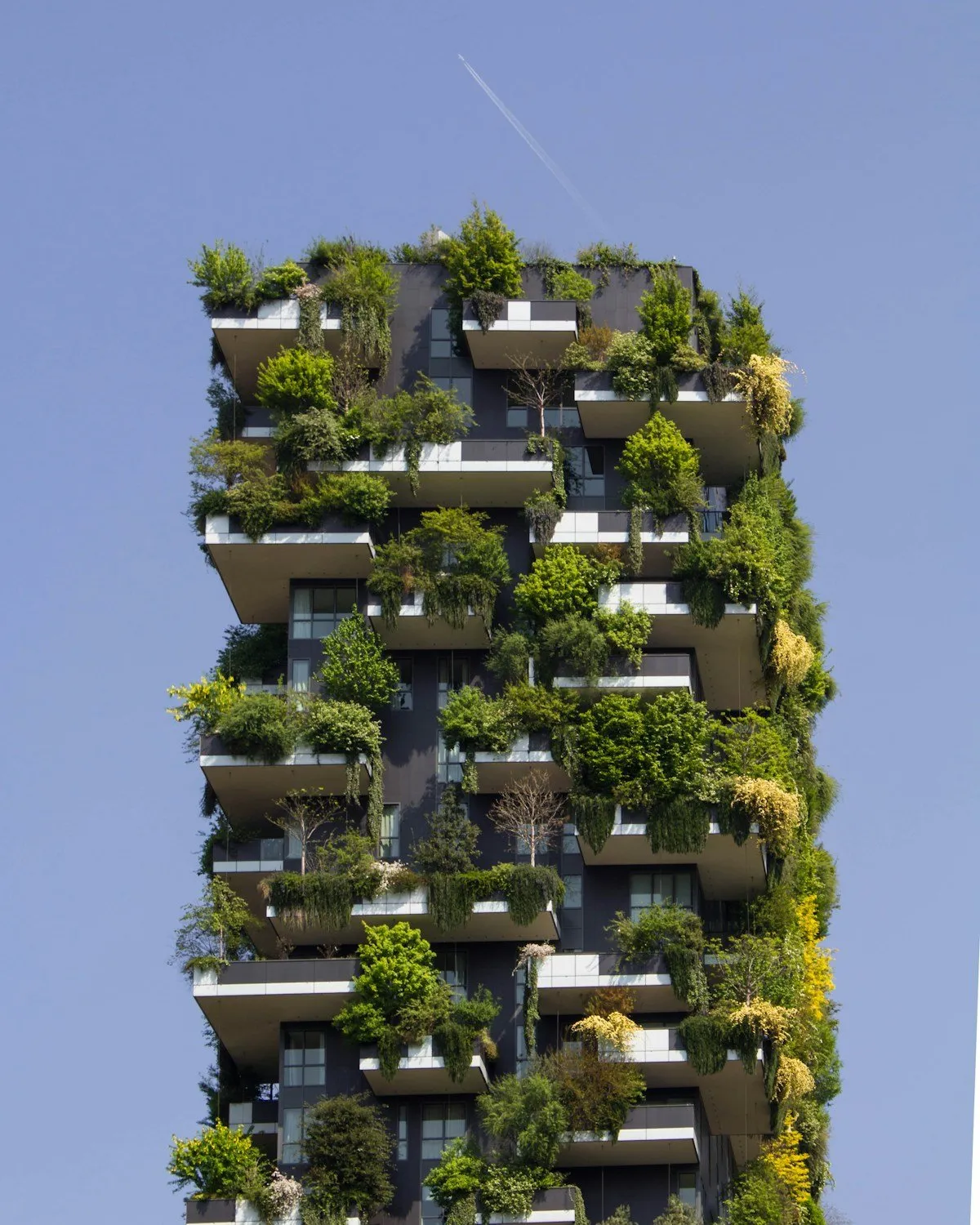 Bâtiment végétal illustrant l'engagement écologique d'Eco Alliance pour une construction durable